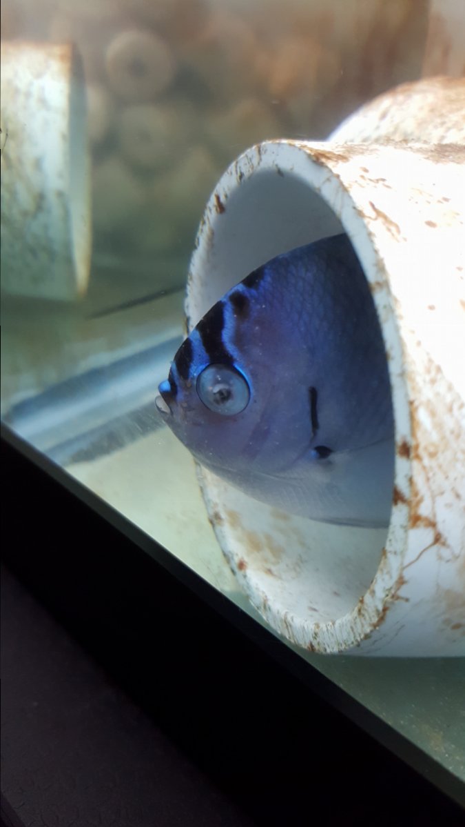 20190331_134216.jpg