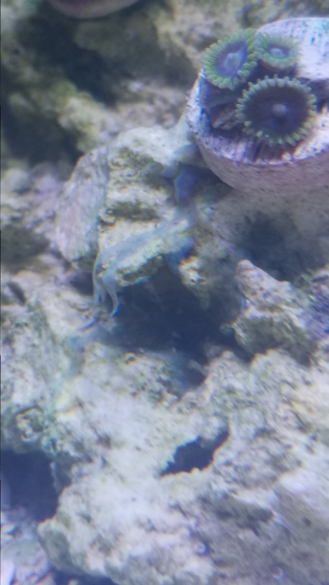 20190331_201202.jpg