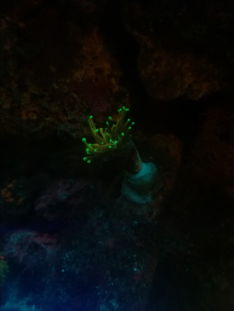 20190331_202239.jpg