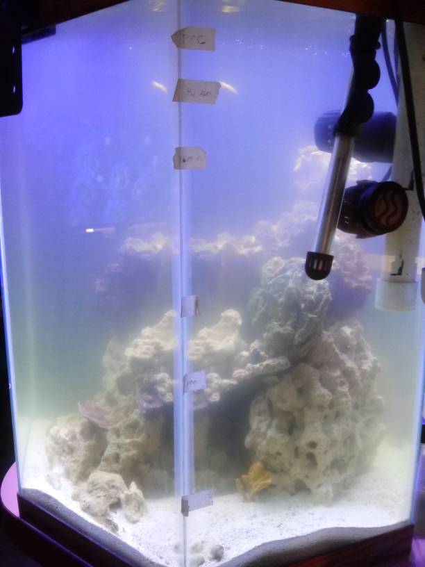 20190401_110006.jpeg