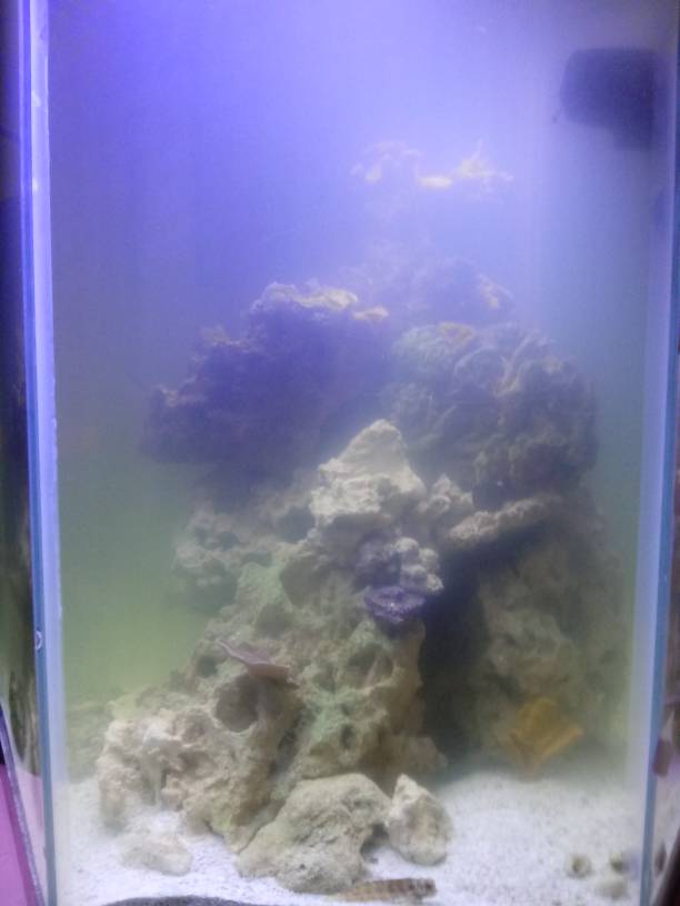 20190401_110042.jpeg