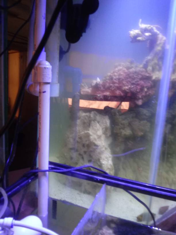 20190401_110141.jpeg