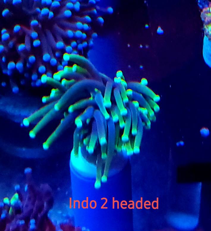 20190402_043941.jpeg