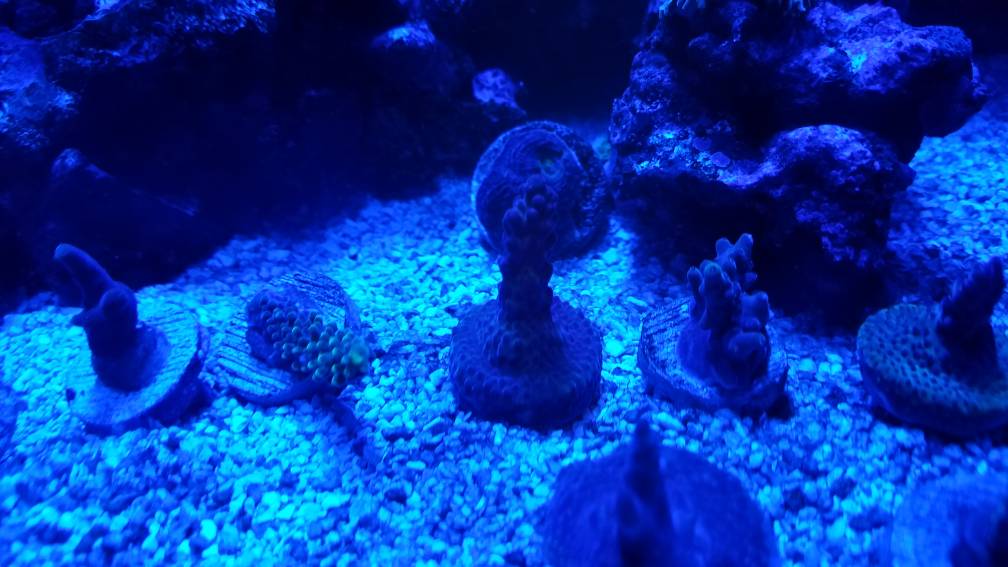 20190402_220819.jpeg