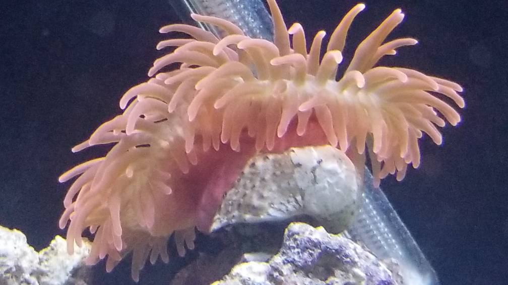 20190403_082529.jpeg