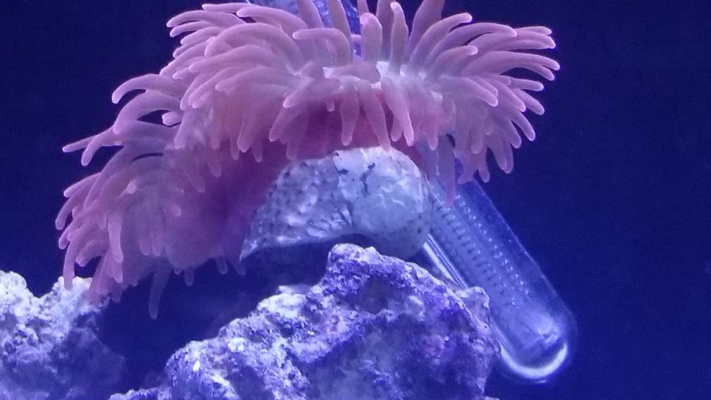 20190403_082601.jpeg