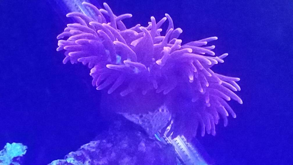 20190403_083254.jpeg