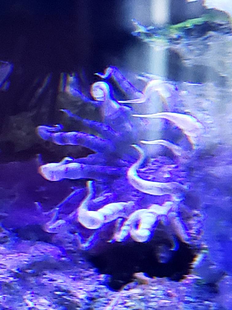20190404_153029.jpeg