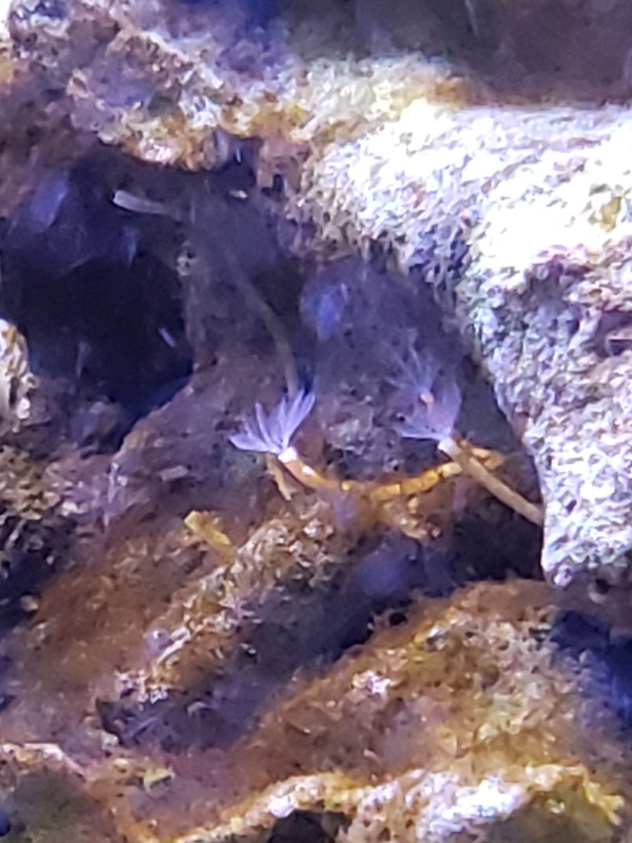 20190404_161830.jpg
