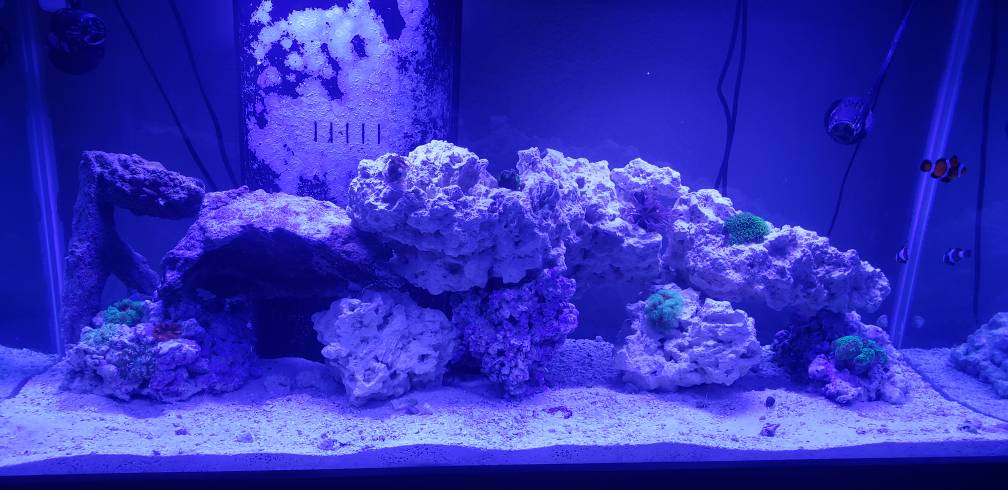20190406_143527.jpeg