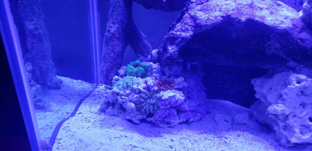 20190406_143540.jpeg