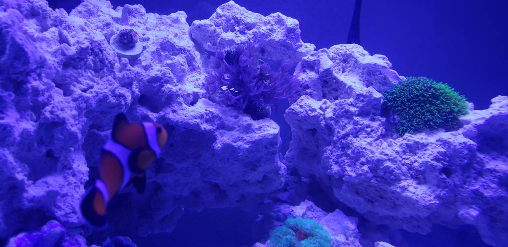 20190406_143551.jpeg