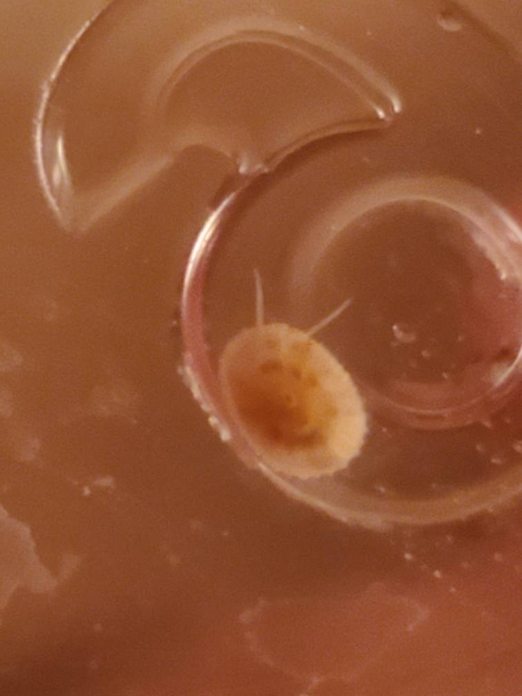 20190406_220556.jpeg