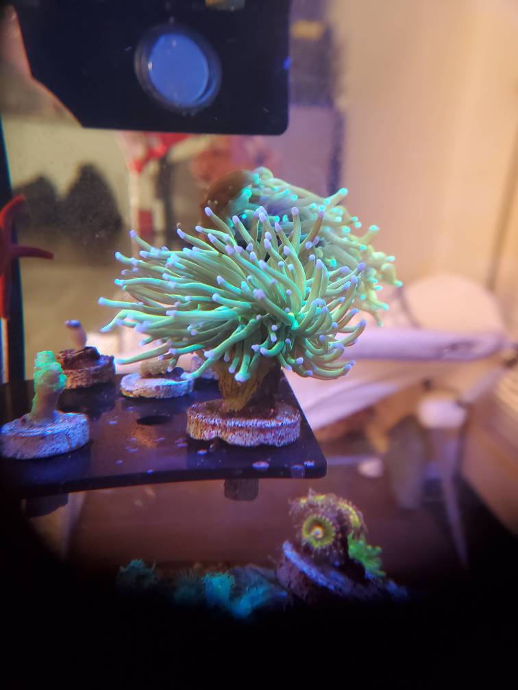 20190407_091915.jpeg
