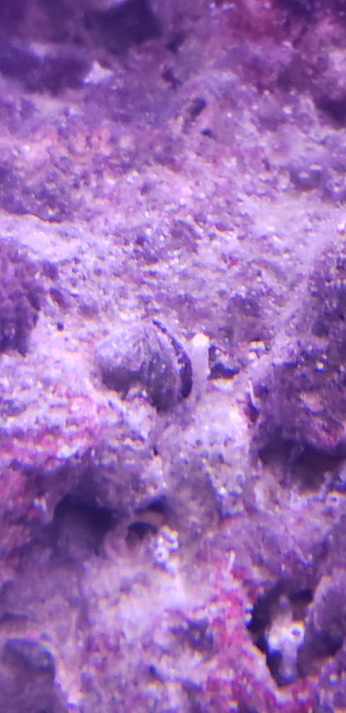 20190407_234826.jpeg