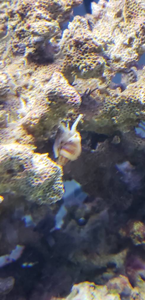 20190409_124550.jpeg