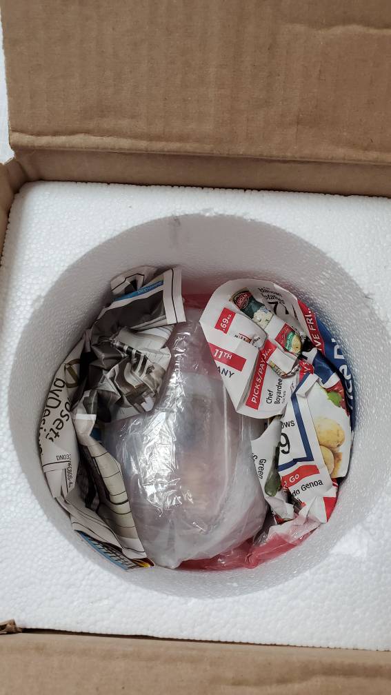20190409_145759.jpeg