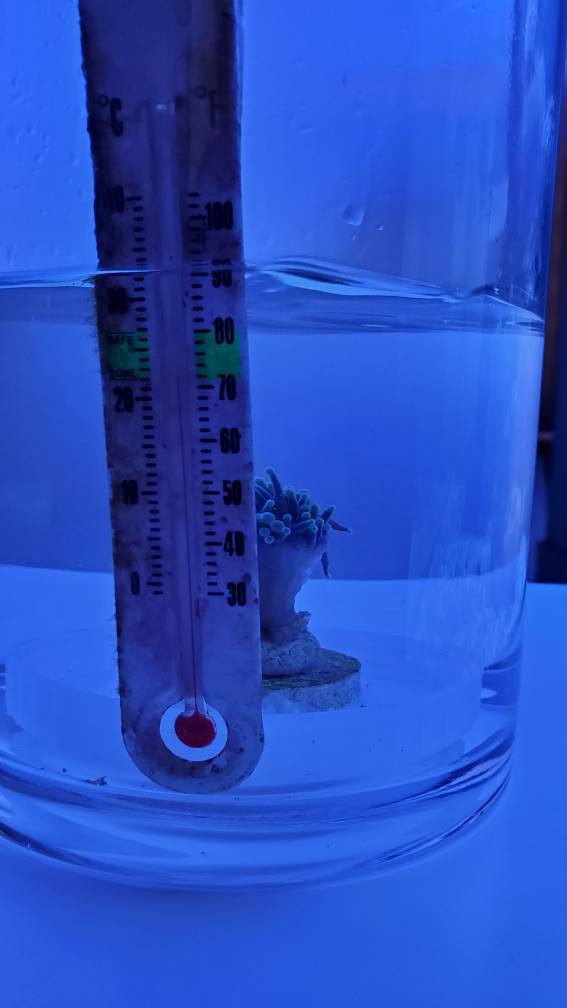 20190409_151044.jpeg