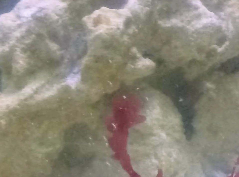 20190409_165400.jpeg