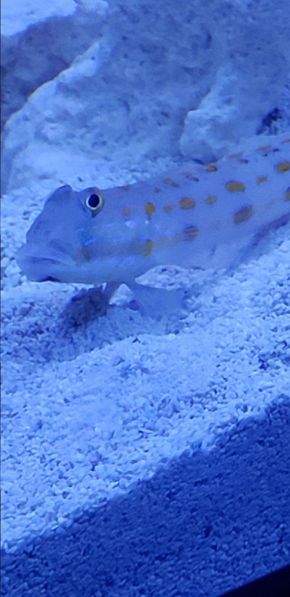 20190409_174113.jpg