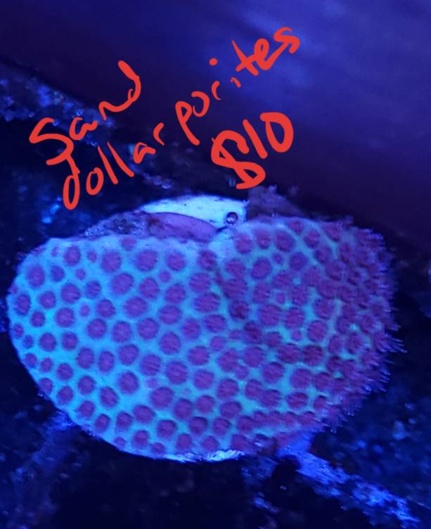 20190409_201633.jpeg