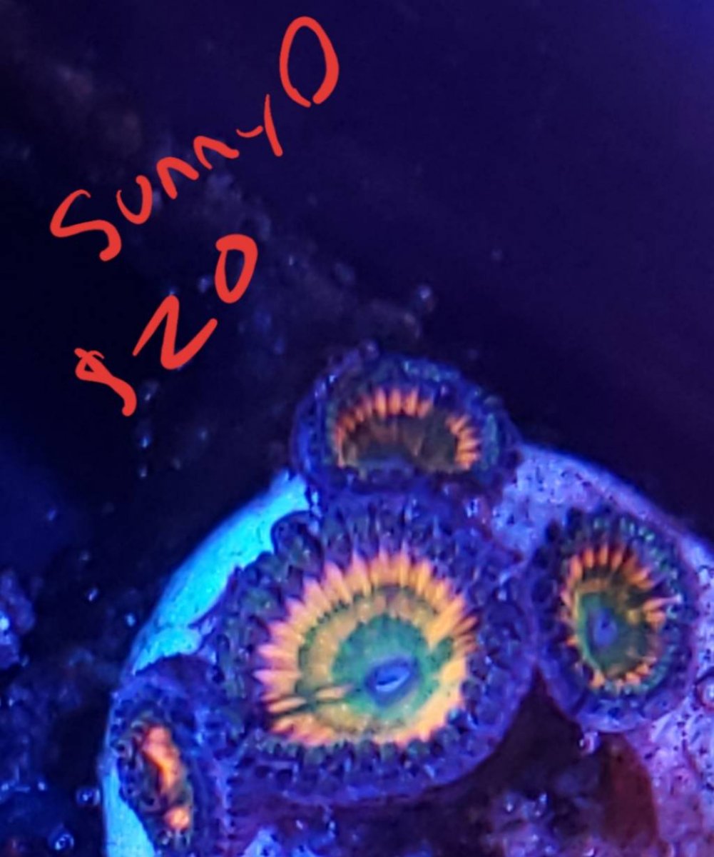 20190409_201748.jpeg