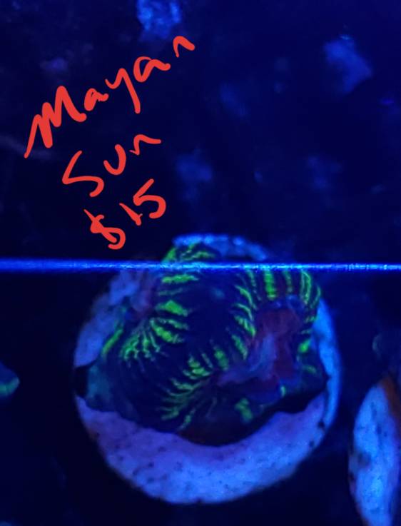 20190409_201807.jpeg