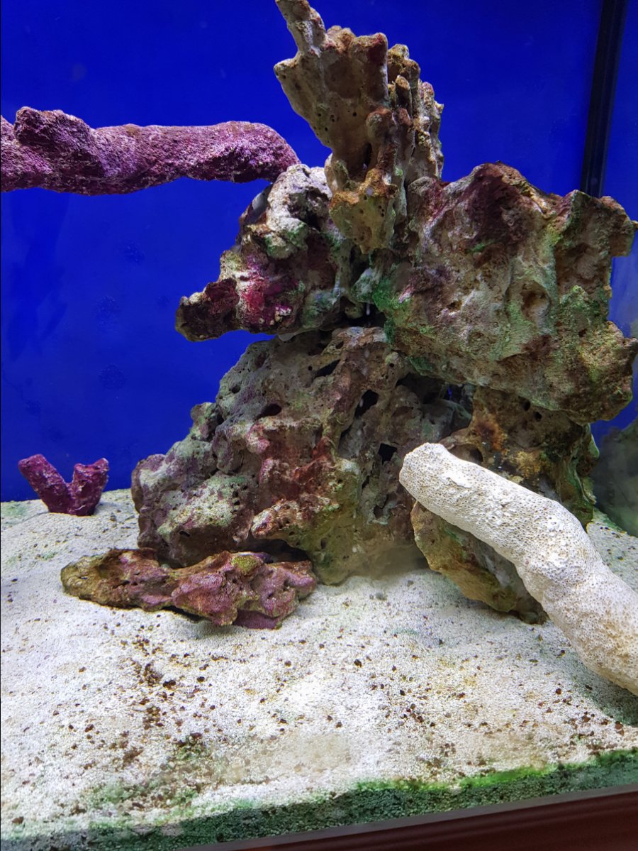 20190410_001103.jpg