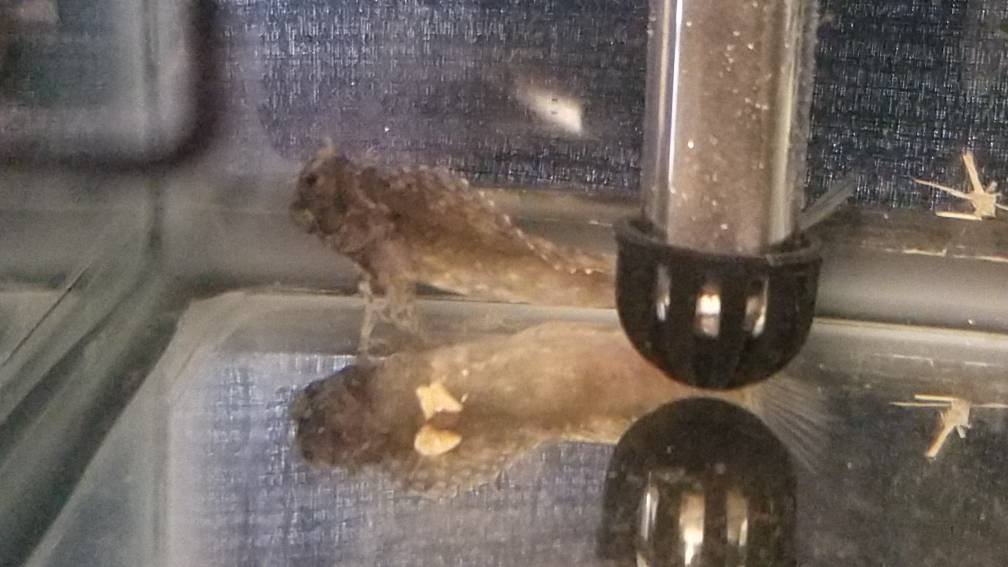 20190410_094037.jpeg