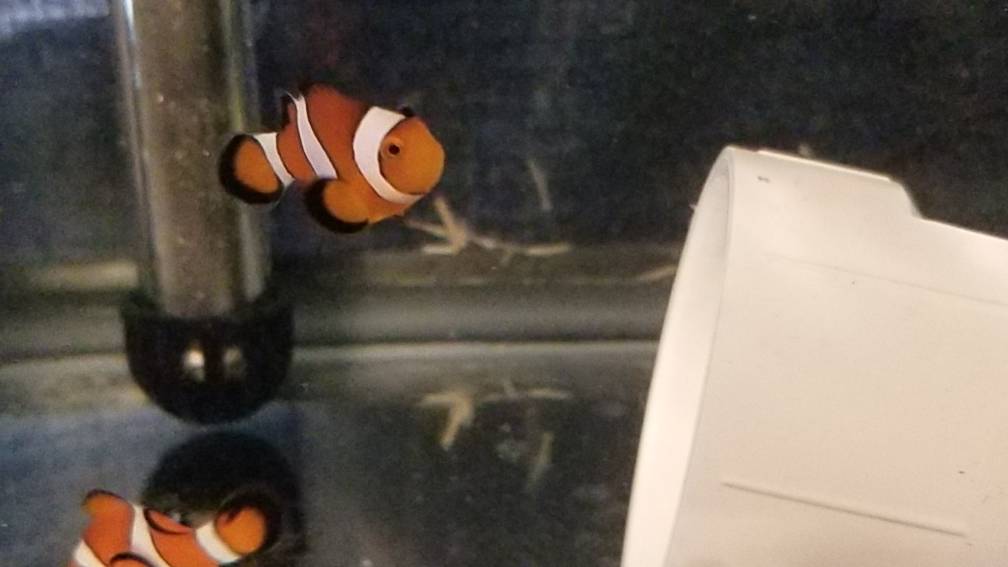 20190410_094117.jpeg