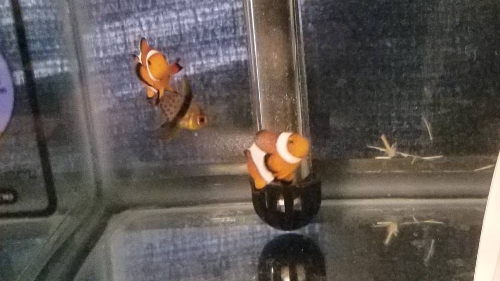 20190410_094124.jpeg