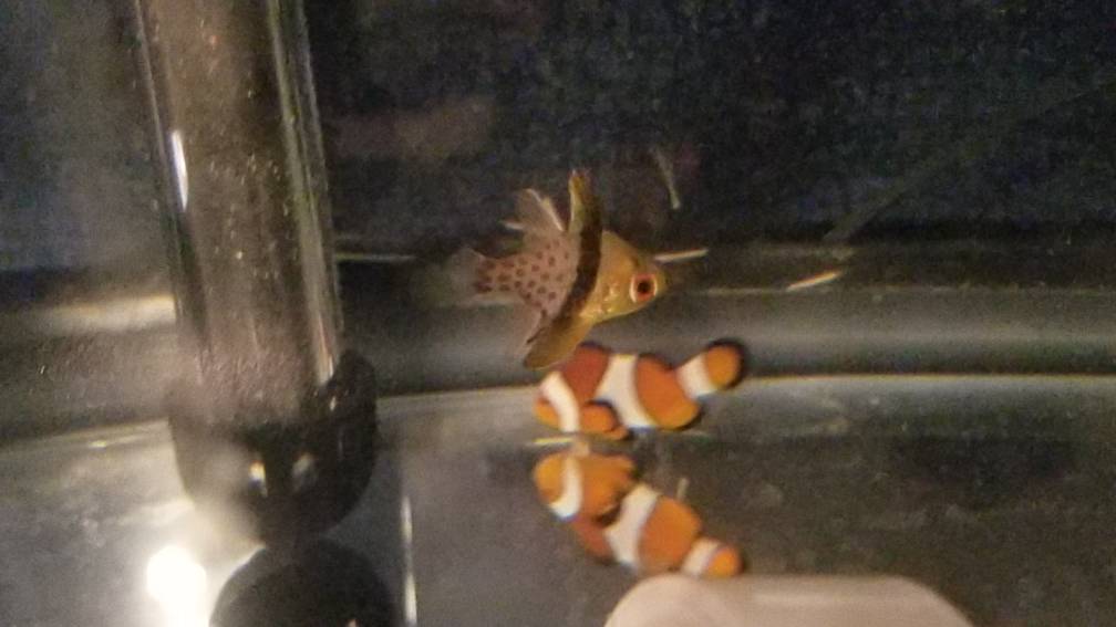 20190410_100432.jpeg