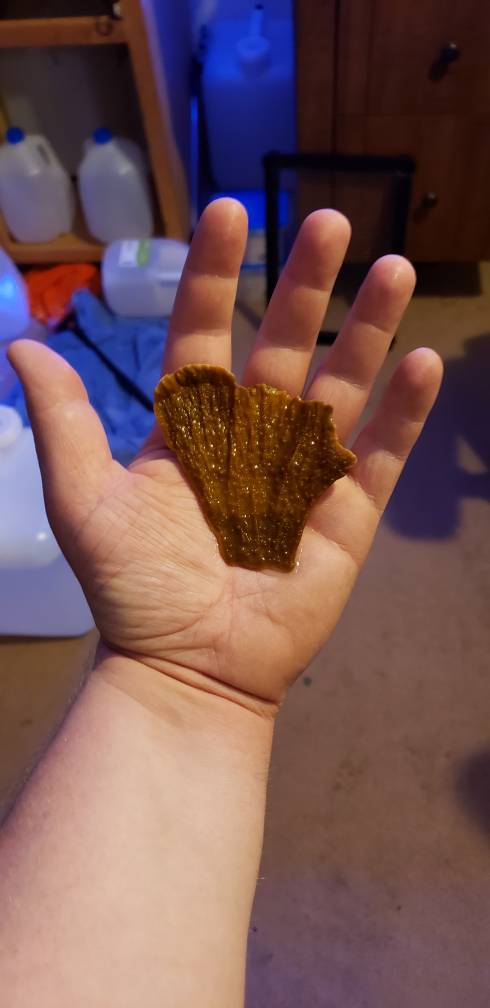 20190410_202323.jpeg
