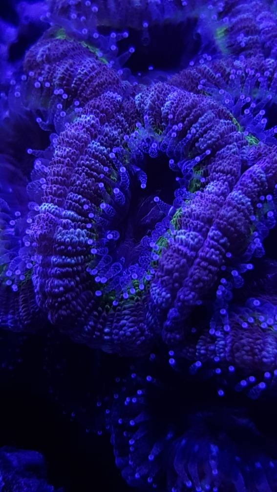 20190410_205204.jpeg