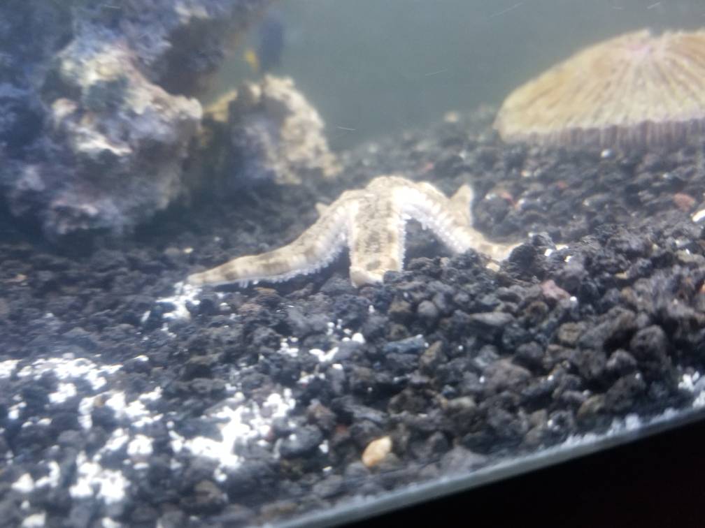 20190411_085945.jpeg