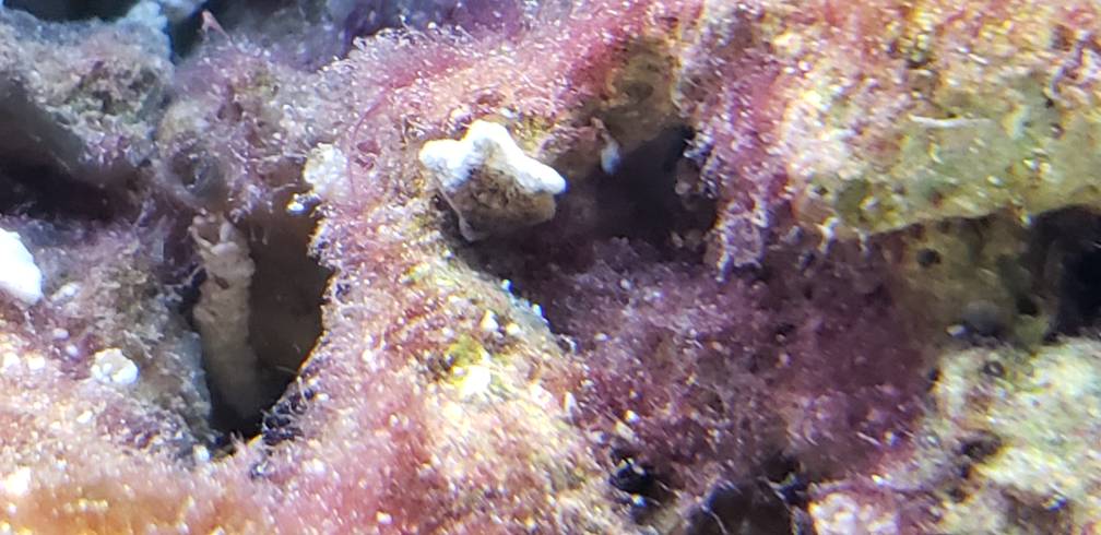 20190412_002354.jpeg