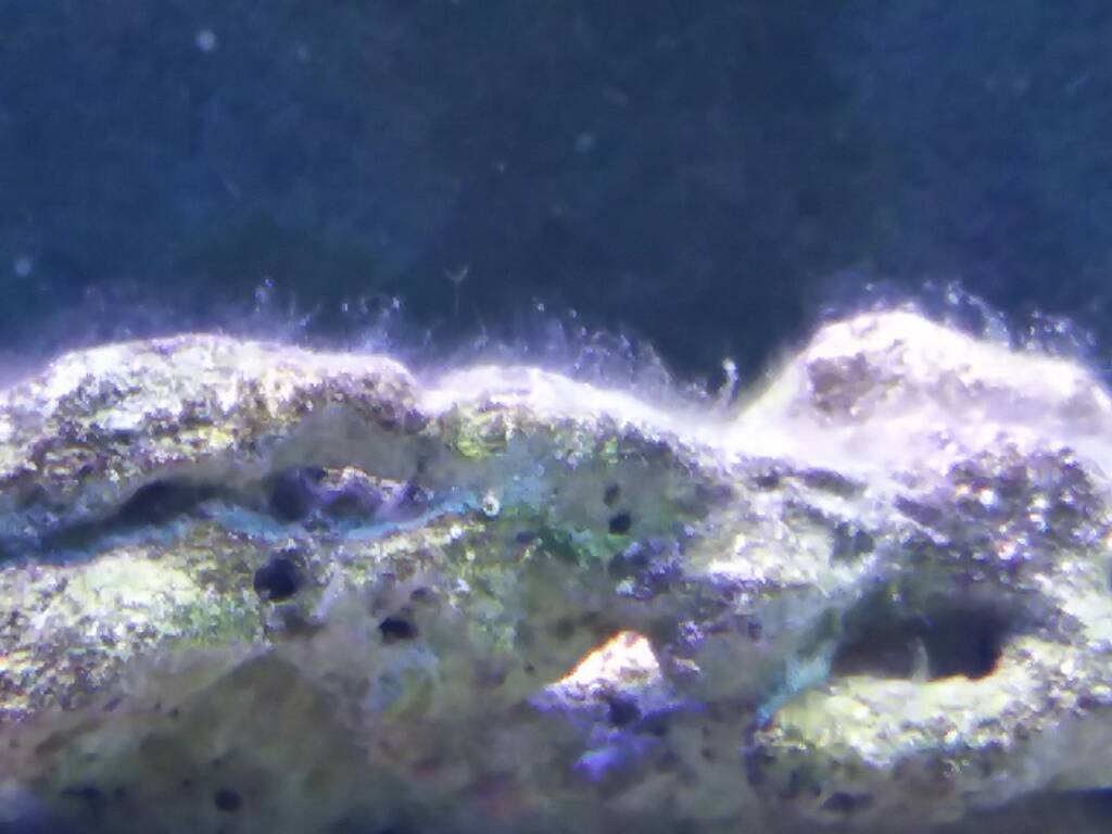 20190412_102535.jpeg