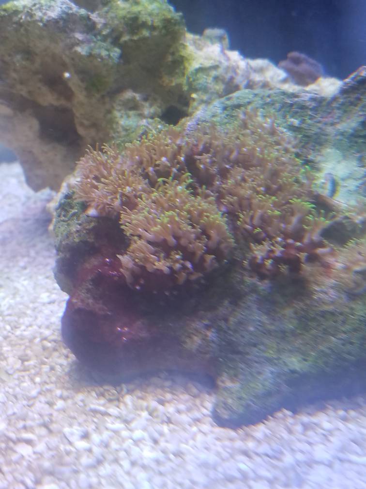 20190412_202456.jpeg