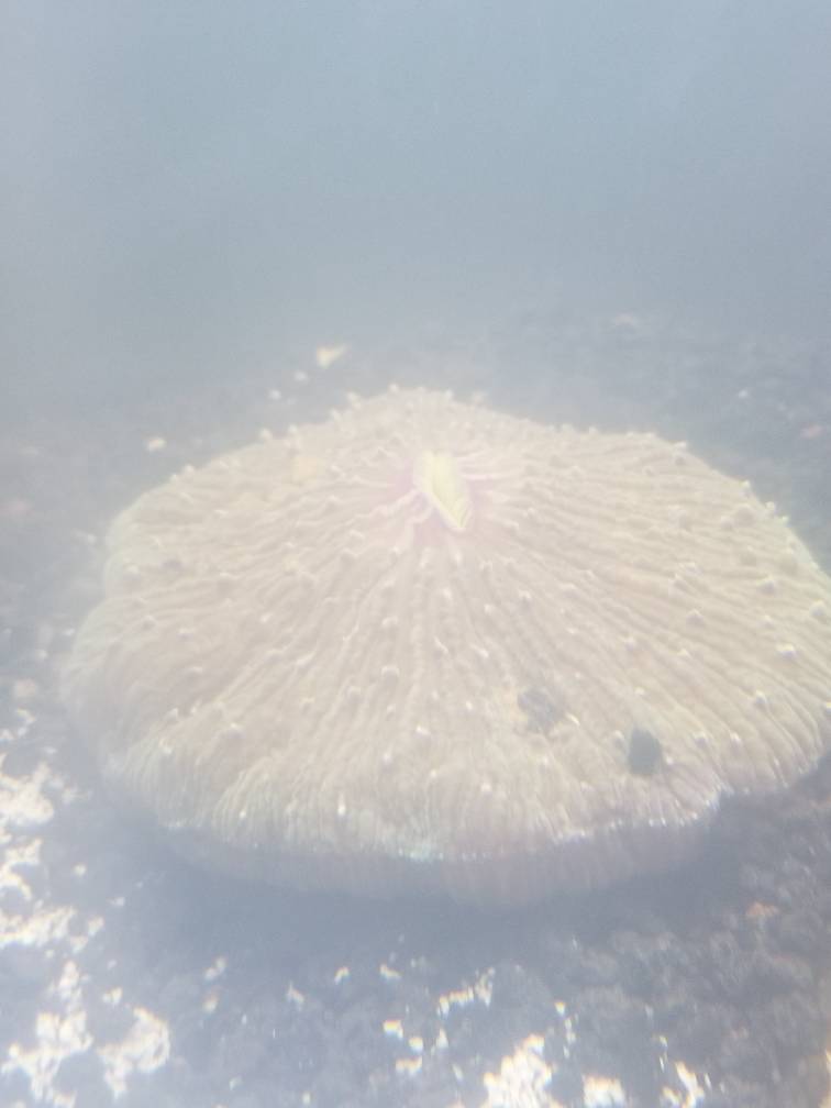 20190412_213010.jpeg