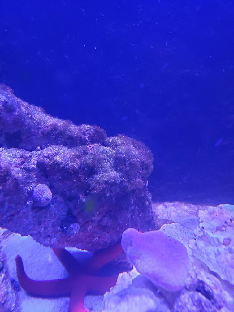20190413_172116.jpeg