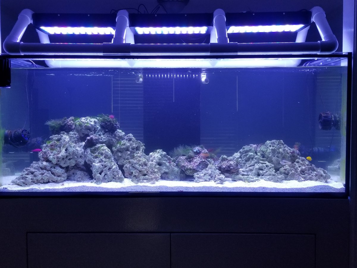 20190414_163351.jpg