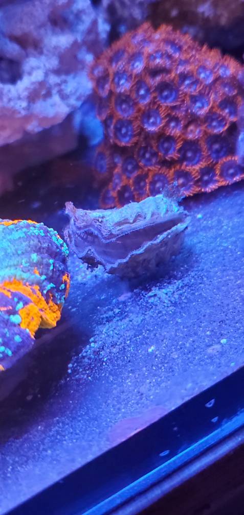 20190414_185051.jpeg