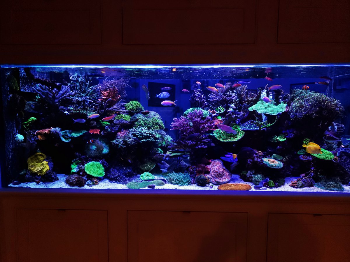 20190415_145635-01.jpeg