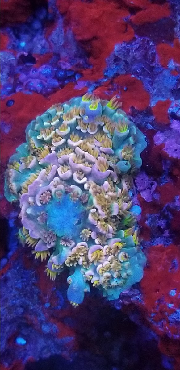 20190418_212539.jpg