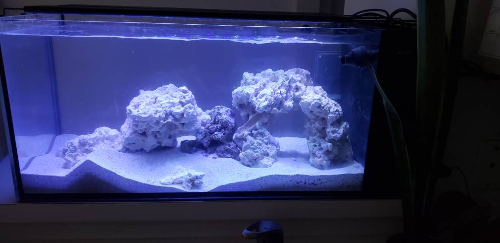 20190419_080656.jpeg