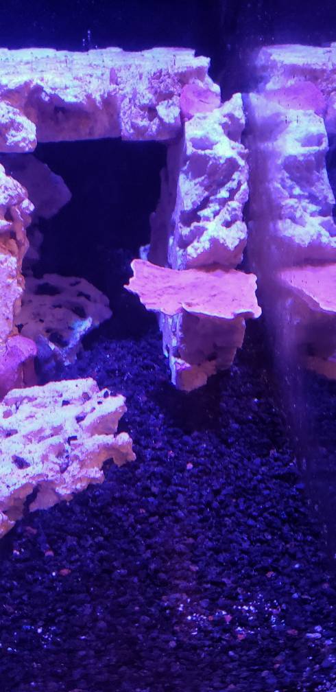 20190421_231428-01.jpeg