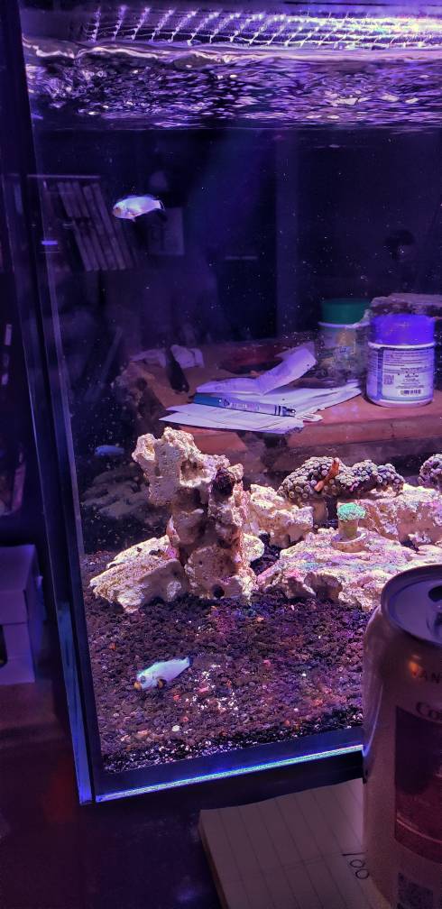 20190422_193403-01.jpeg