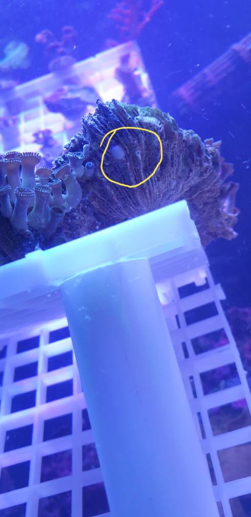 20190423_074603.jpeg