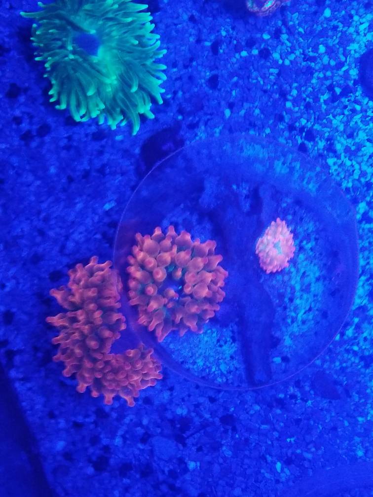 20190424_122134.jpeg