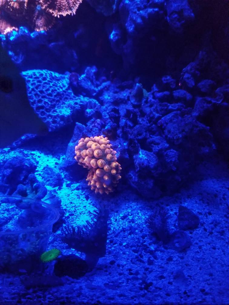 20190424_124557.jpeg